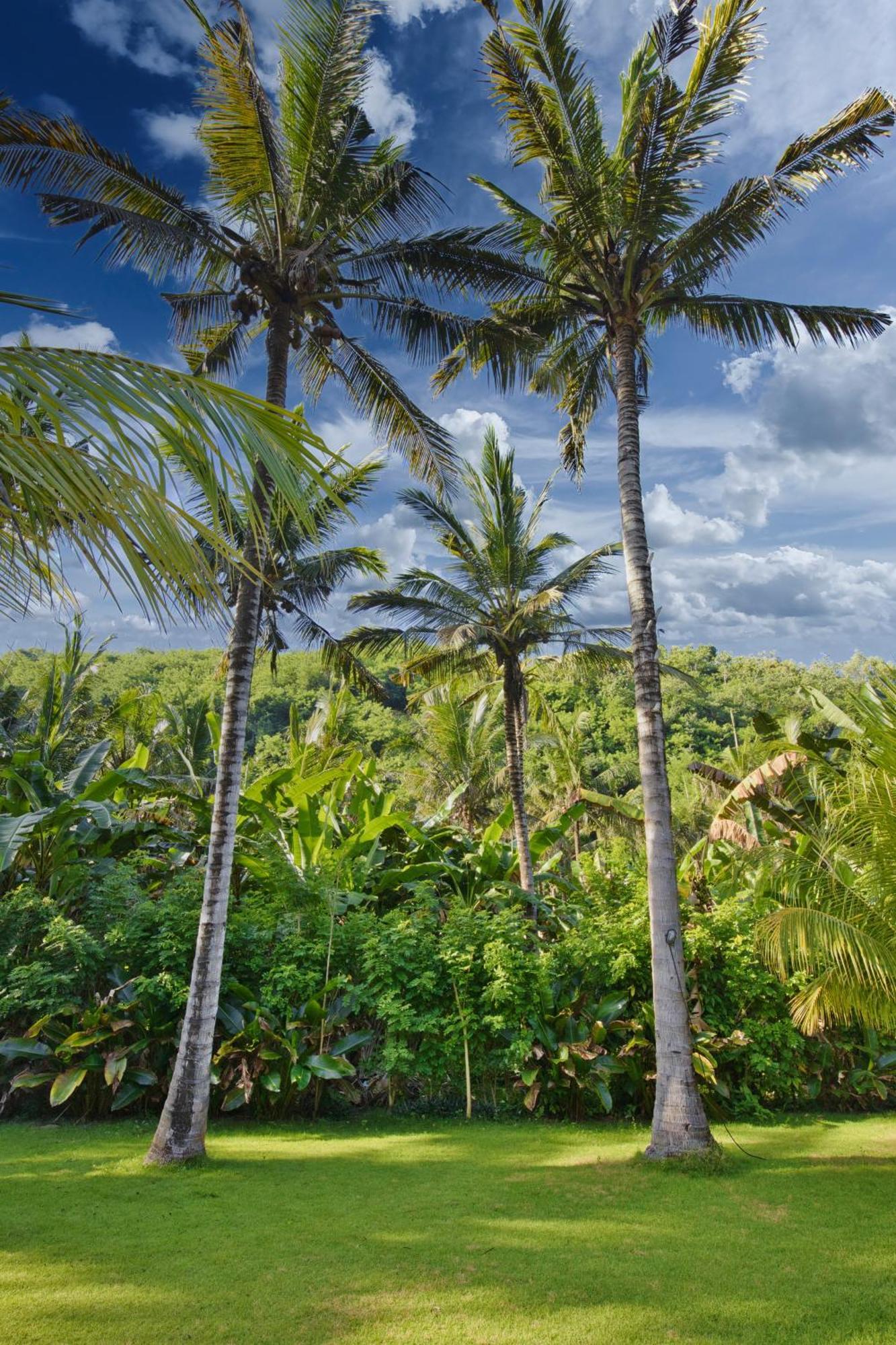 Appartamento Puri Yalus Bungalow Toyapakeh Esterno foto